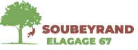 elagage-artisan-soubeyrand