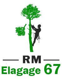 elagage-rm-elagage-67